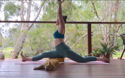 The story behind Hanumanasana